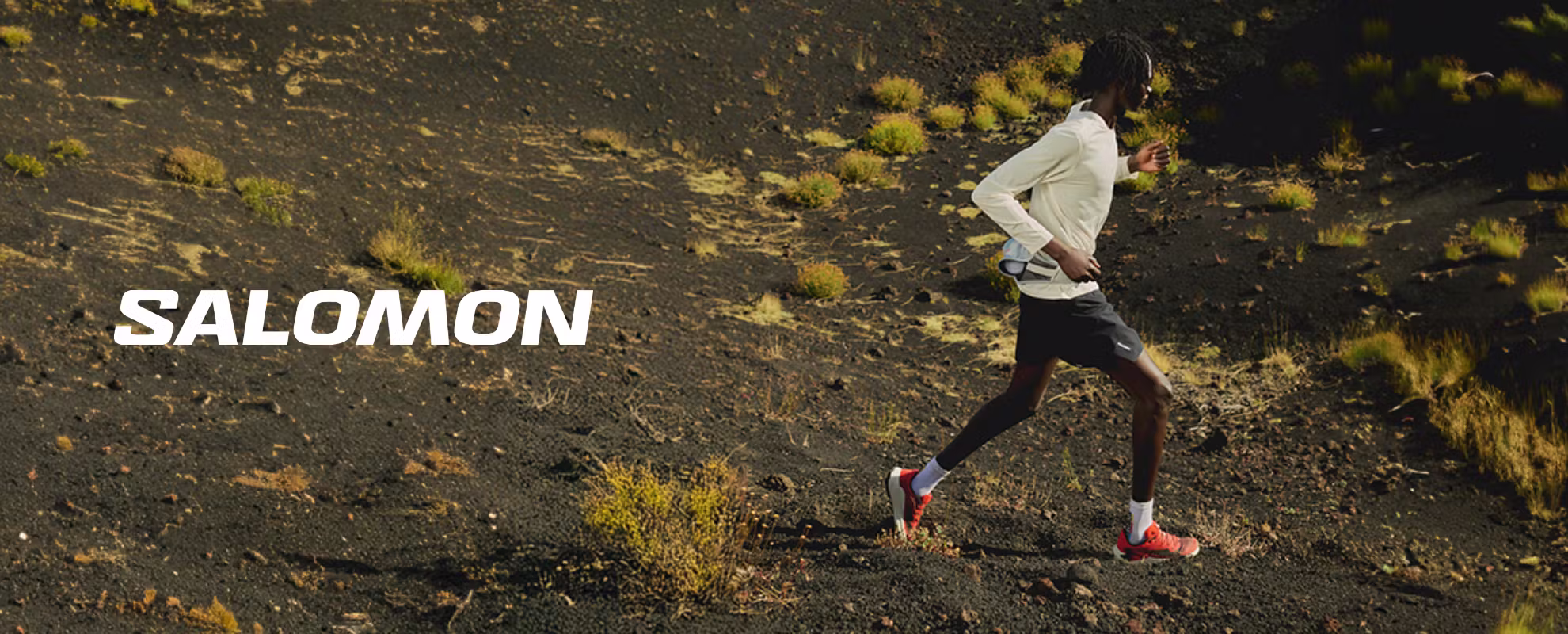Salomon